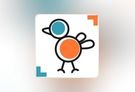 an orange and blue sticker with a bird on it's head, in front of a blurry background