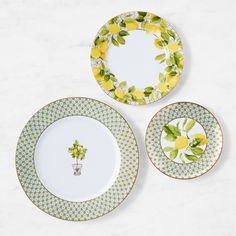 three plates with yellow flowers on them sitting on a white counter top next to each other