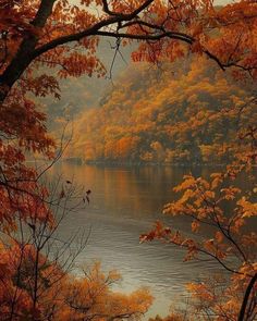 an autumn scene with trees and the water in the foreground, surrounded by mountains