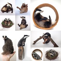 several pictures of stuffed animals in different stages of development, including an antelope and badger