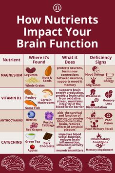 How Nutrients Impact Your Brain Function Improving Memory, Brain Nutrition, Nutrition Science, The Mediterranean Diet, Improve Brain Function, Health Management, Healthy Brain, Paying Attention