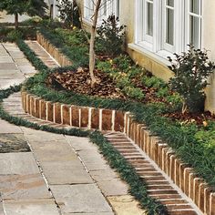 a garden with brick edging and green plants in front of a window on the side of a building