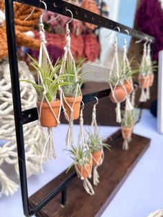 small air plants are hanging from hooks on a shelf in front of some other items