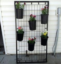 several potted plants are hanging on a metal trellis