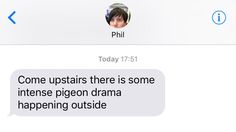 the text message is being displayed to someone on their cell phone that says, come upstairs there is some intense pigeon drama happening outside