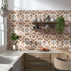 a kitchen area with a sink, counter top and potted plants on the shelves