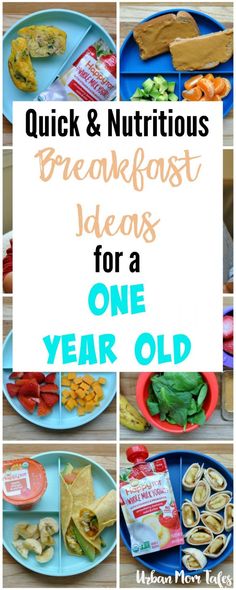 quick and nutritious breakfast ideas for a one - year old, including snacks