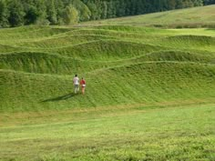 two people are walking through the green grass