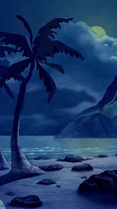 a palm tree sitting on top of a sandy beach under a full moon filled sky