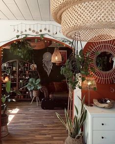 a living room filled with lots of potted plants