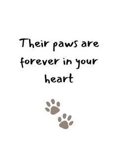 a dog paw print with the words, their paws are forever in your heart