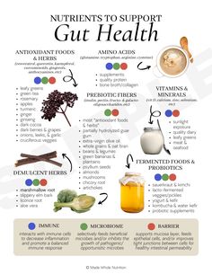 Gut Health And Immune System, Best Things For Gut Health, Gut Health Importance, Balance Gut Microbiome, Holistic Health Nutrition, Why Is Gut Health Important, Gut Health Diet, Health Research, Home Health Remedies