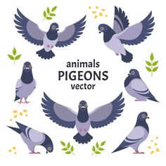 different kinds of pigeons in the air with leaves and berries around them on a white background