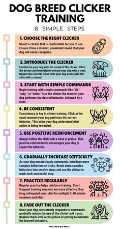 a poster with instructions on how to use the dog breed clicker training guide for dogs