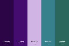 the color scheme is purple and blue, with different colors in each section on the same page