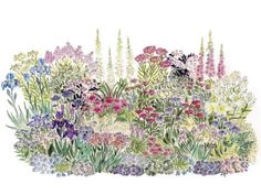 an image of a garden scene with flowers and plants in the foreground, watercolor on paper