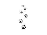 an animal paw prints on a white background