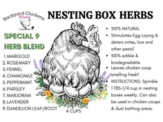 the ingredients for nesting box herbs are shown in this graphic style, with an image of a