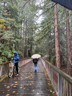 two people with umbrellas walking across a bridge in the woods on a rainy day