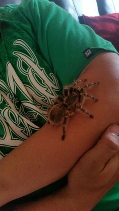 a person with a spider on their arm