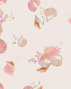 an image of seashells and flowers on a pink background