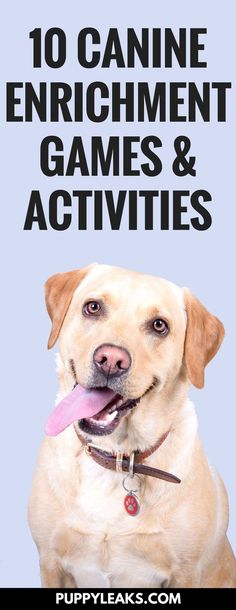 a dog with its tongue out and the words 10 canine enrichment games & activities