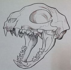 a drawing of a skull with sharp teeth