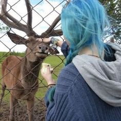 Aesthetic Jujutsu Kaisen, Jujutsu Kaisen Aesthetic, The Pursuit Of Love, Pursuit Of Love, Blue Hair Aesthetic, Chloe Price, Hair Aesthetic, A Deer, Blue Hair