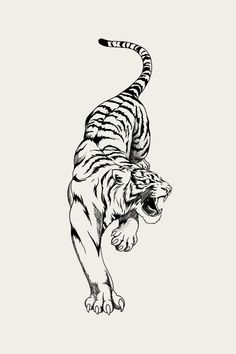 Fineline Tiger Tattoo Japanese Tiger Tattoo, Shin Tattoo, Tattoo Line, Tattoo Design Book, Tiger Art, Black Ink Tattoos