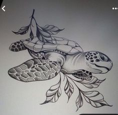 a drawing of a turtle with leaves on its back