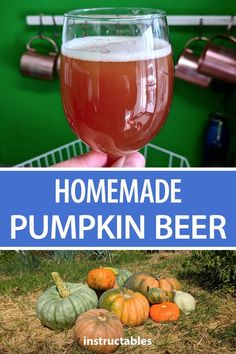 homemade pumpkin beer in a glass with the words, homemade pumpkin beer