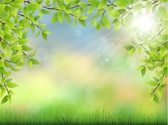 an image of green leaves in the sunbeams - backgrounds decorative objects and textures