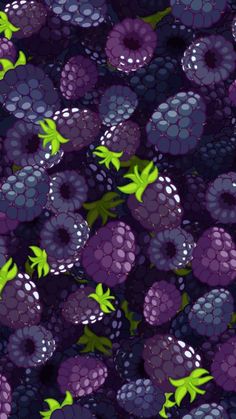 a bunch of purple raspberries and blackberries on top of eachother