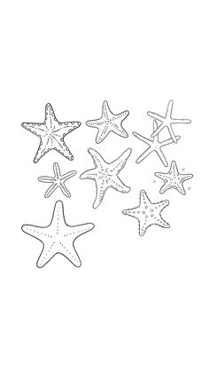 five starfishs are shown in black and white, with one being drawn to look like