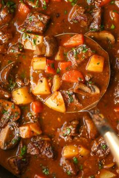 a ladle full of stew with potatoes and carrots in the pot, ready to be eaten