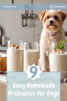 a small dog standing in front of three glasses of milk with the words 9 easy homemade probiotics for dogs