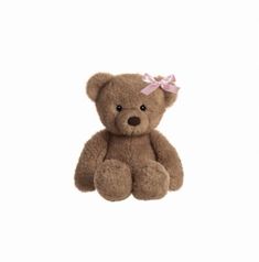 a brown teddy bear with a pink bow on it's head sitting in front of a white background