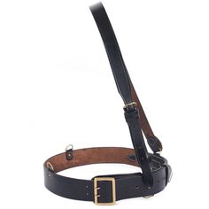 a black leather bridle with gold buckles