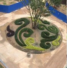 a circular garden with trees and bushes in the shape of swirls on top of it