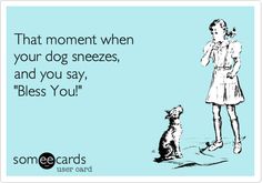 a woman standing next to a dog with the caption that moment when your dog sneezes, and you say't