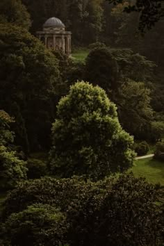 an old building in the middle of a forest