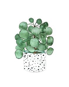 a watercolor painting of a potted plant with green leaves and dots on it