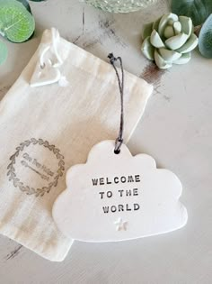 a welcome to the world hanging ornament on a table with succulents