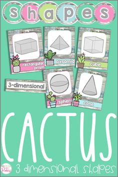 three dimensional shapes with the words cactus and 3 dimensional shapes on them, in front of a