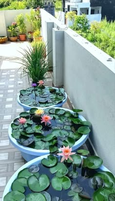 three planters filled with water lilies sitting on the side of a building