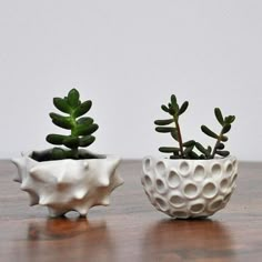 two ceramic planters sitting on top of a wooden table