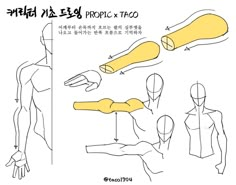 an image of how to draw the arm and hand in different poses, with instructions for each