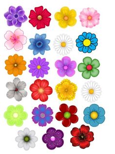 an assortment of colorful flowers on a white background with clippings for each flower