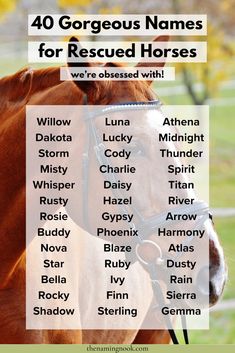 a brown horse with the words 40 gorgeous names for rescued horses