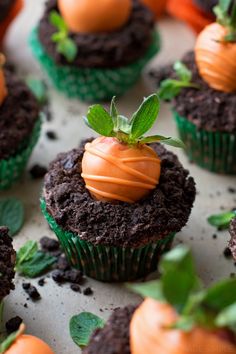 chocolate cupcakes with orange frosting and green leaves